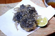 Fried mozuku seaweed, Tempura style
